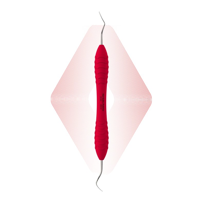 Hoe Scaler Posterior