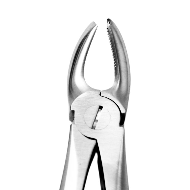 Ekstraktionstang overk�be molar h�jre