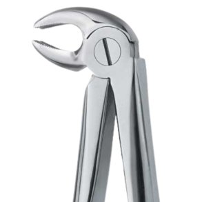 Ekstraktionstang molar h�jre