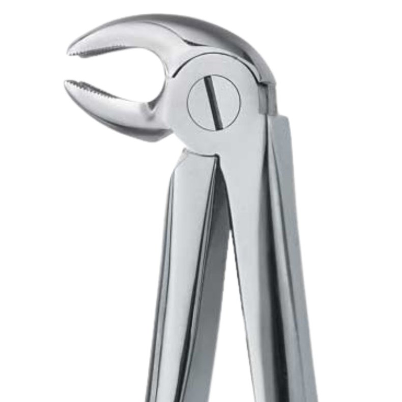 Ekstraktionstang molar h�jre