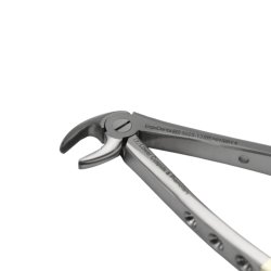 Ekstraktionstang underk�be molar og pr�molar