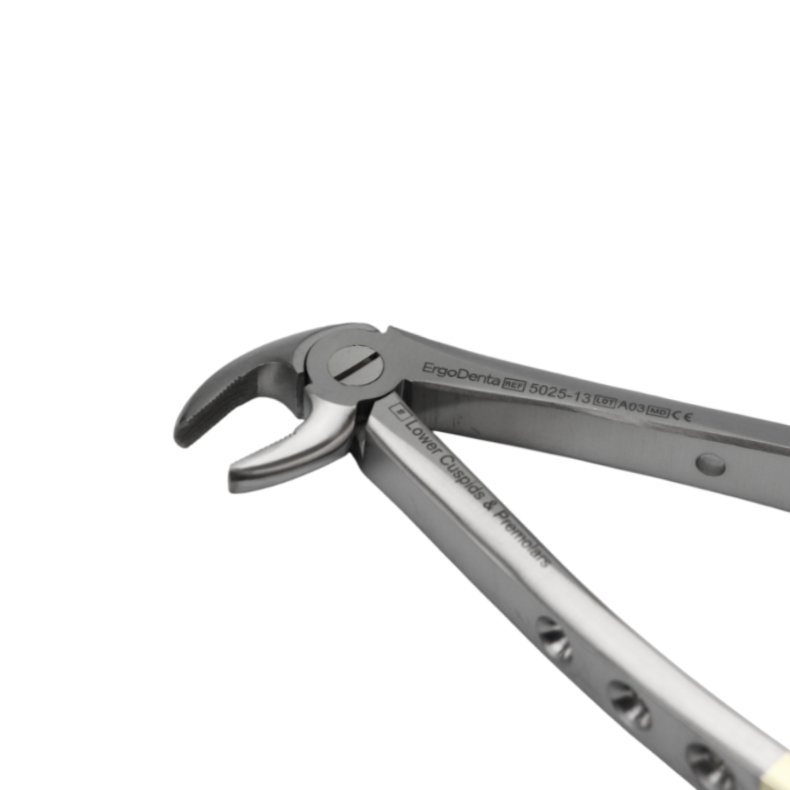 Ekstraktionstang underk�be molar og pr�molar