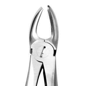 Ekstraktionstang overk�be molar h�jre