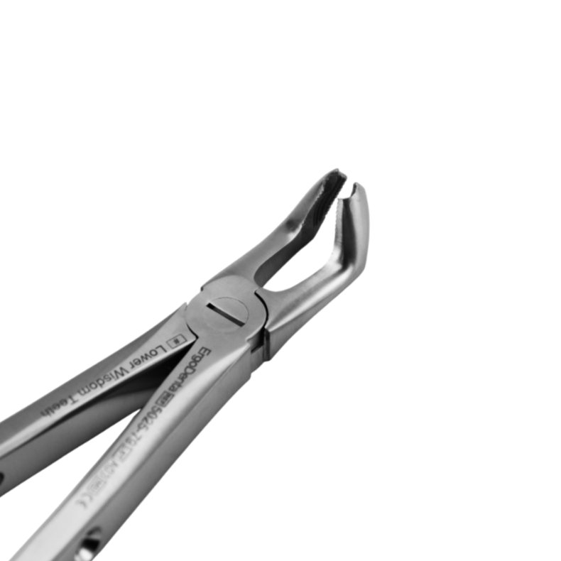 Ekstraktionstang underk�be visdomst�nder