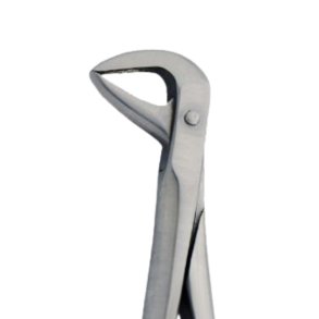 Ekstraktionstang underk�be molar 86A