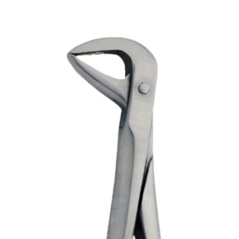 Ekstraktionstang underk�be molar 86A