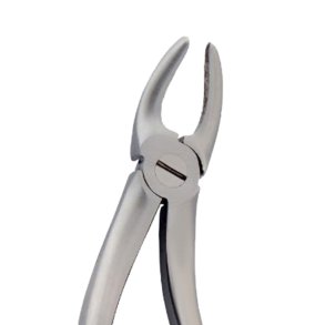 Ekstraktionstang underk�be molar Hertz