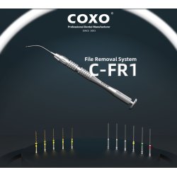 C-FR1, File Removal System