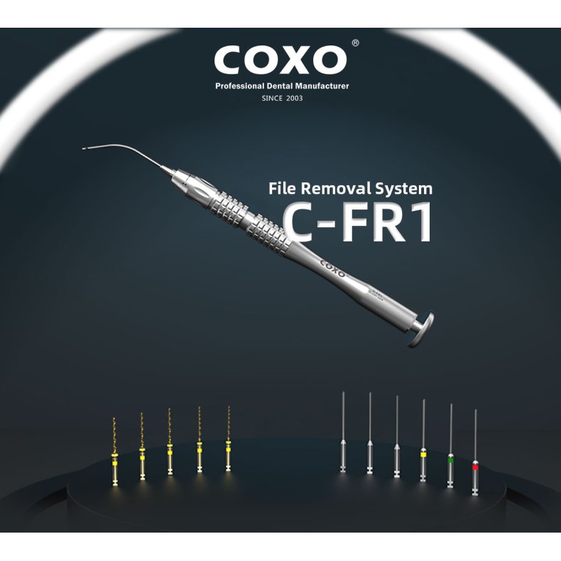 C-FR1, File Removal System