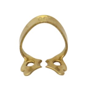 Anterior Fronten  00