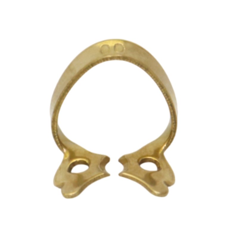 Anterior Fronten  00