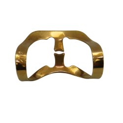 Anterior Fronten  212