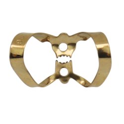 Anterior Fronten  9S