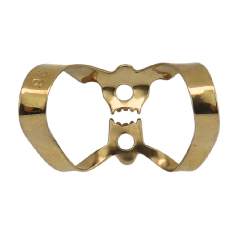 Anterior Fronten  9S