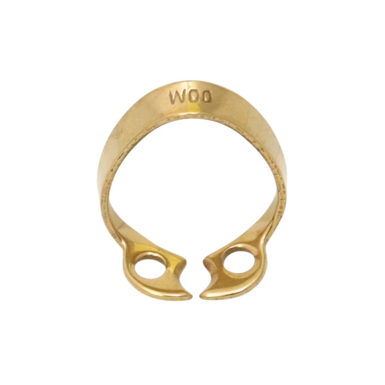 Anterior Fronten  W00