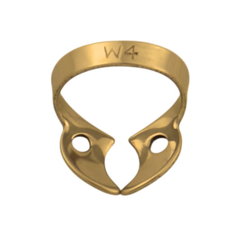 Molar Overk�ben W4