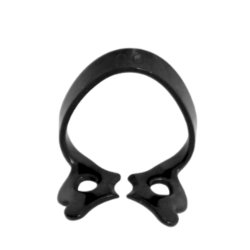 Anterior Fronten  00