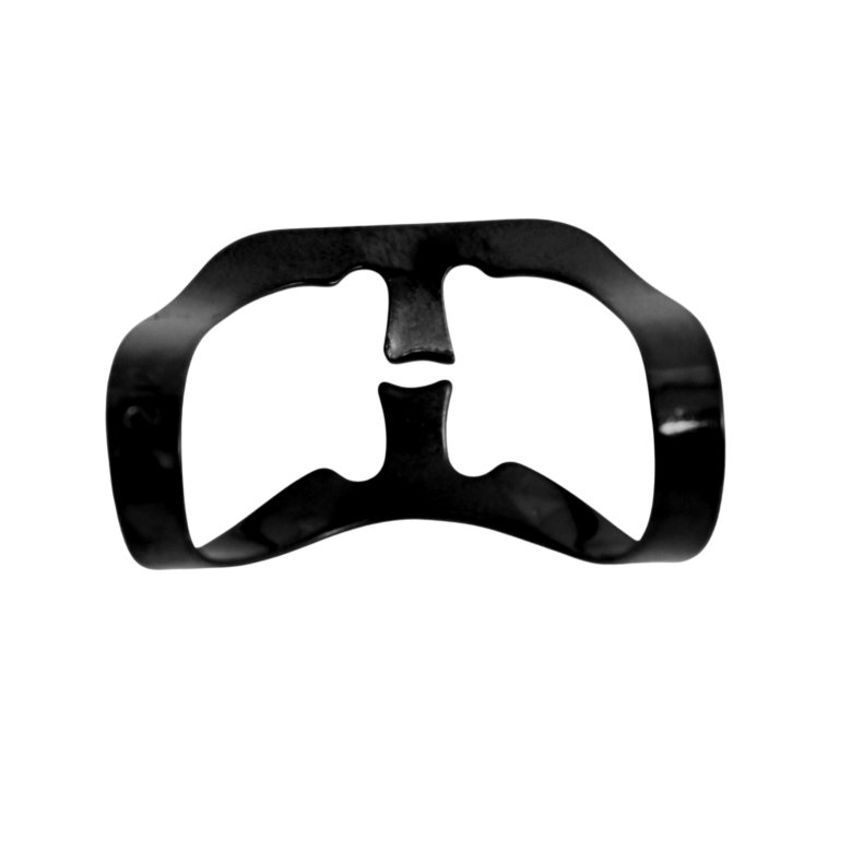 Anterior Fronten  212