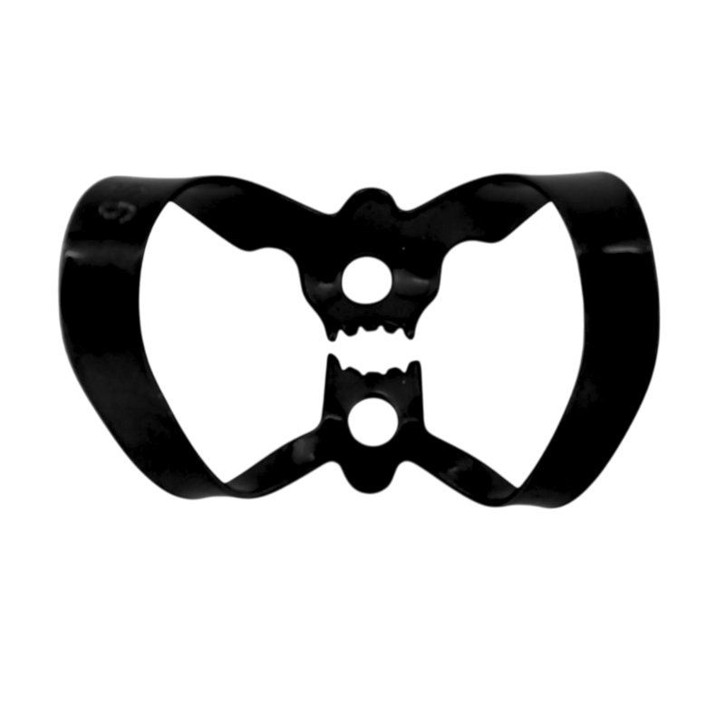 Anterior Fronten  9S