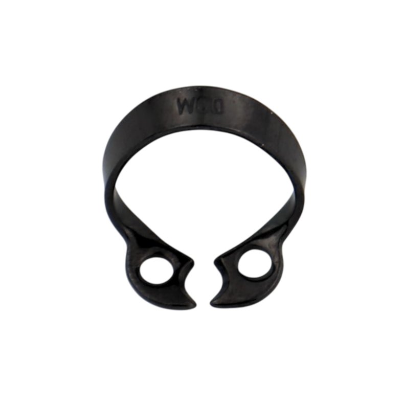 Anterior Fronten  W00