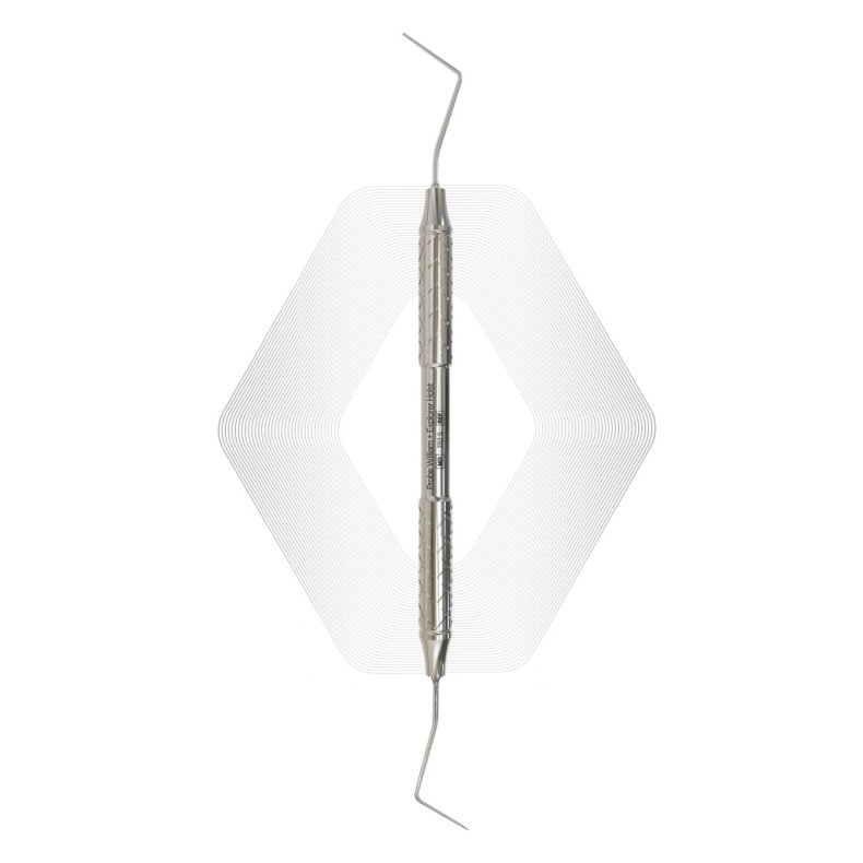 Probe William + Explorer Holst