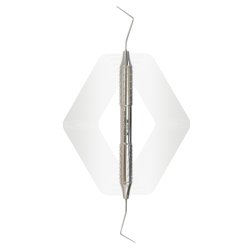 Probe William + Explorer Holst