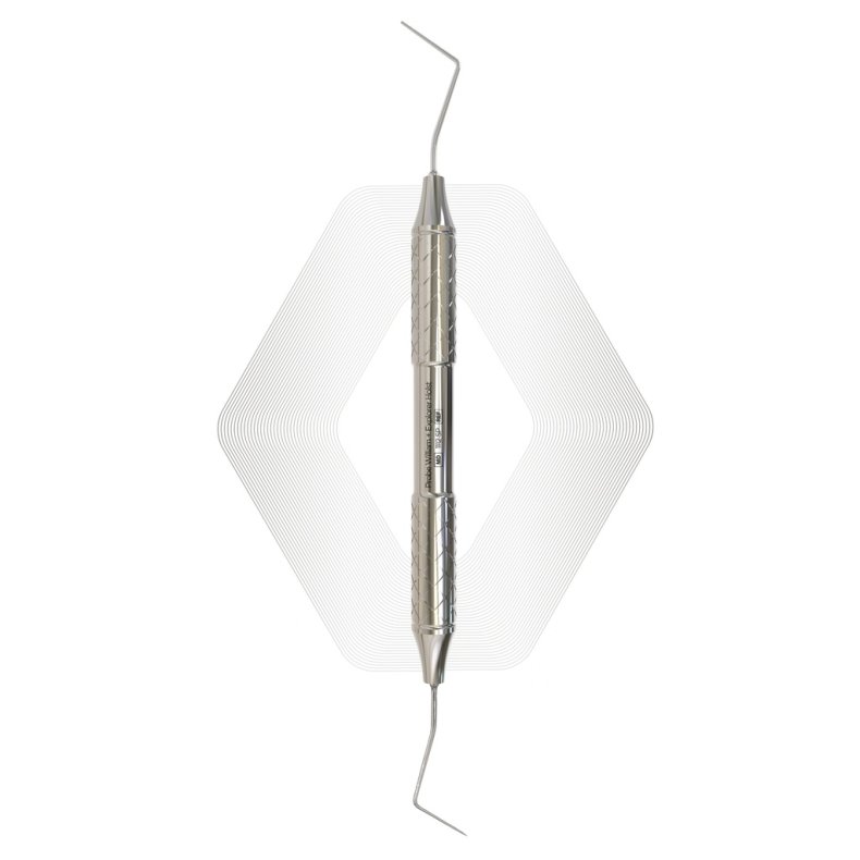 Probe William + Explorer Holst