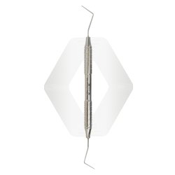 Probe William + Explorer Holst