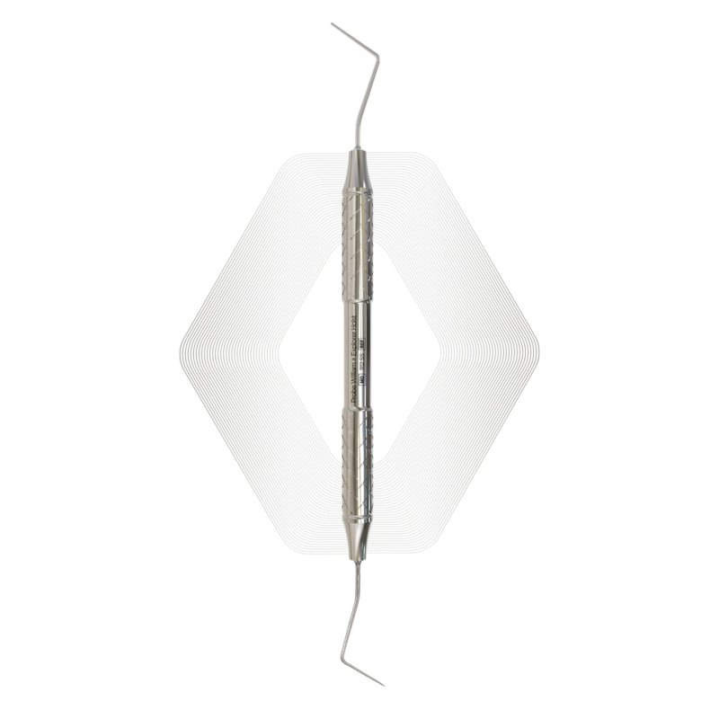 Probe William + Explorer Holst
